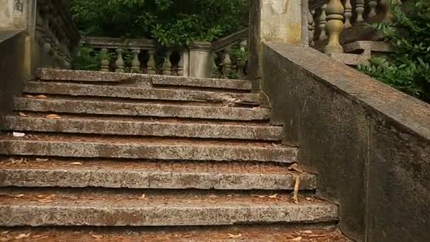 Balaústres vintage. Escadaria do palácio velho — Vídeo de Stock