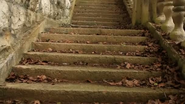老式的栏杆。楼梯的旧宫殿 — 图库视频影像