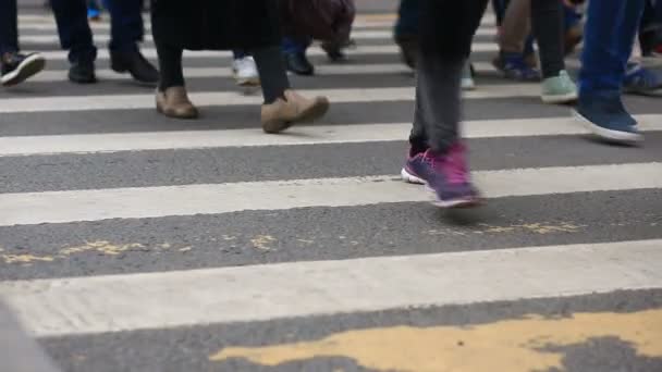 Voet crosswalk. Mensen oversteken de straat. voeten lopen op de stoep. — Stockvideo