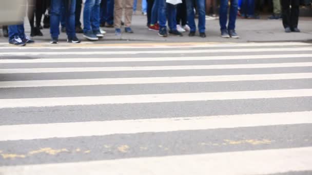 Foten övergångsställe. Personer över vägen. fötter som går på trottoaren. — Stockvideo