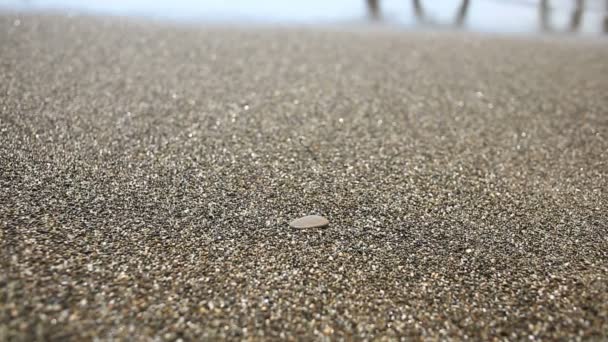 Kamyk na piaszczystej plaży, w pobliżu linii surf, widokiem na morze — Wideo stockowe