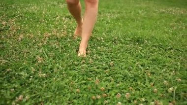 kadının çıplak ayakları üzerinde yeşil çim sahası, yürüyüş yonca çiçek