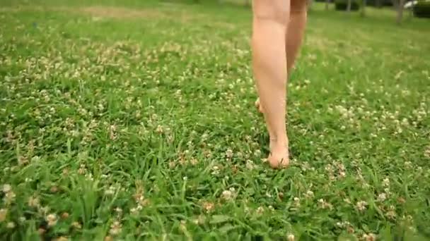 womans bare feet walking over green grass field, Flowers of clover