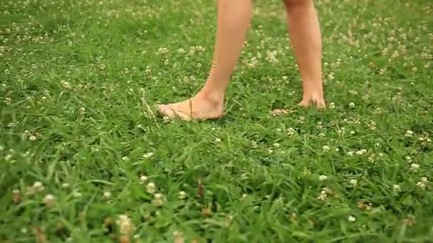 Womans bare feet walking over green grass field, Flowers of clover — Stock Video