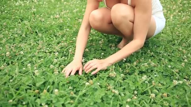 Beautiful girl with a deep neckline and lush breasts looking for four-leaf clover on the field. — Stock Video