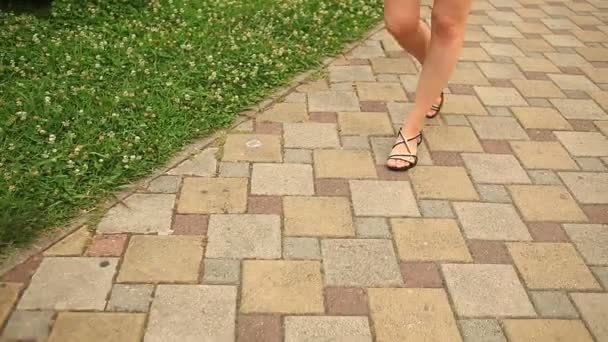 Close-up view of female feet walking through the urban street. Female in sandals and shorts going in the city center. — Stock Video