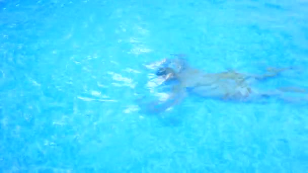 男は青い水をプールの水の下で泳ぐ。上からの眺め. — ストック動画