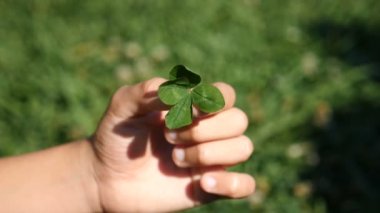 Childs'ın el dört yapraklı bir yonca yeşil çim arka planı tutar. -kadar yakın. uyuşuk