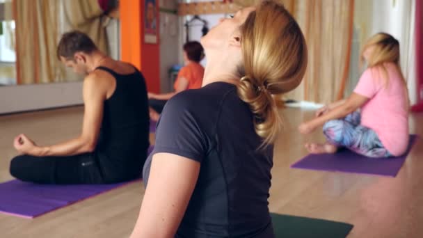 Groepspraktijk voor yoga in de fitness-studio. Yogales. — Stockvideo