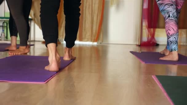 Grupp yoga praxis i fitnesstudion. Yogaklass. — Stockvideo