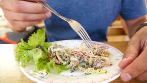 Qualcuno mangia insalata di carne con una forchetta e un coltello. primo piano. Rallentatore . — Video Stock