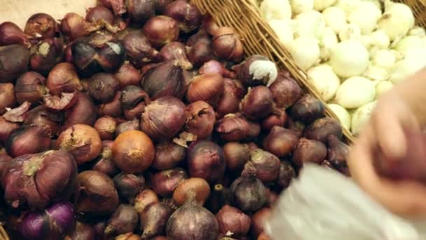 Eine Frau in einem Supermarkt an einem Gemüseregal, kauft Gemüse und Obst. Der Mensch wählt rote Zwiebeln. Zeitlupe — Stockvideo