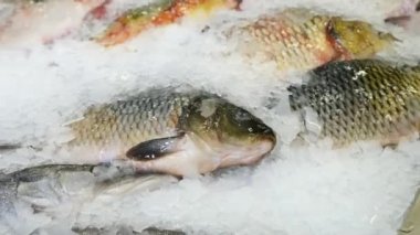 Gıda Market sayaçta taze çiğ deniz ürünleri. Ağır çekim.