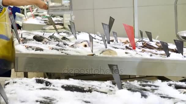 Fresh raw seafood on counter at food market. Slow motion. — Stock Video