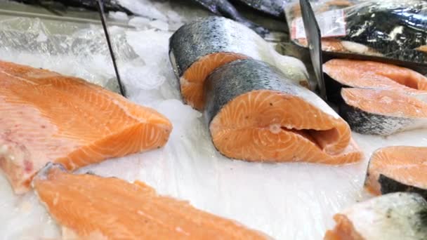 Färska råa skaldjur på counter på matmarknaden. Slow motion. — Stockvideo