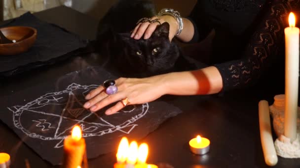 La bruja es una adivina con velas de cerca. Un ritual mágico con un gato negro. Adivinación. Halloween, 4k, cámara lenta — Vídeos de Stock