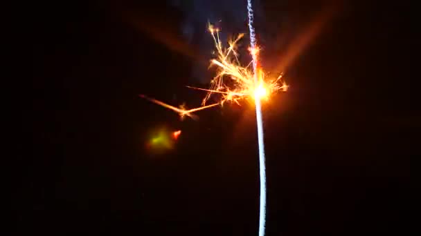 Vuurwerk sparkler branden in macro geschoten op een zwarte achtergrond. 4 k. Slowmotion — Stockvideo