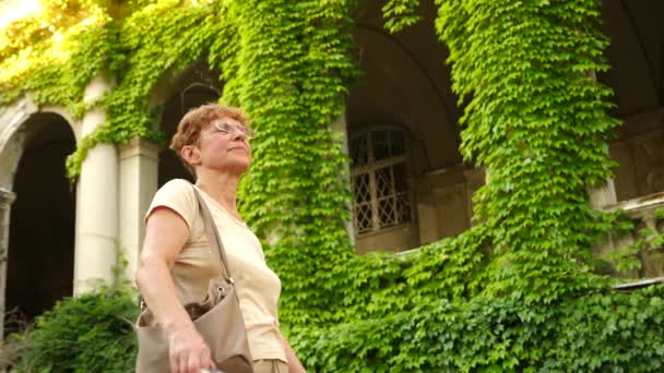 Hermosa anciana o turista tomando una fotografía con teléfono móvil. Señora para compartir foto en las redes sociales sitio de fotos. 4k. Movimiento lento — Vídeos de Stock