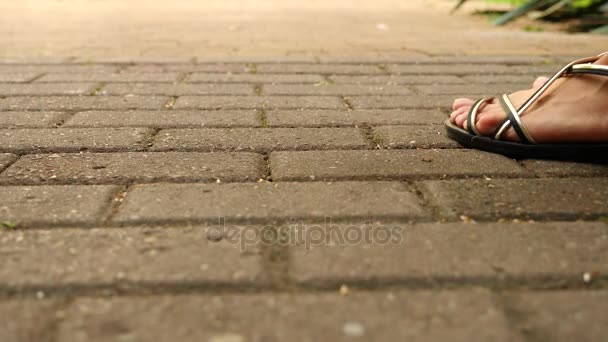 Yavaş hareket: Smartphone sokakta asfalt üzerinde düşer ve parçalara böler. 4k — Stok video