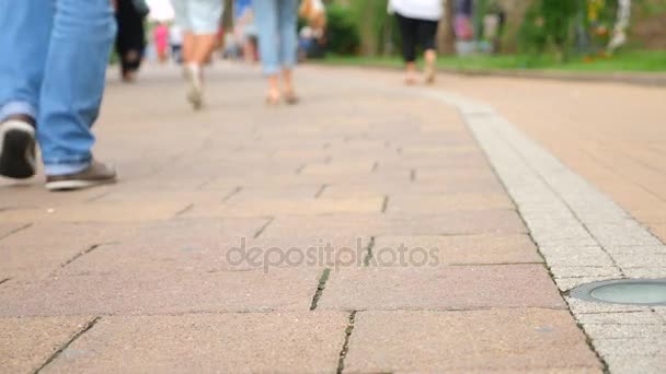 Quelqu'un perd son portefeuille qui tombe sur le trottoir de la ville. 4k, au ralenti — Video