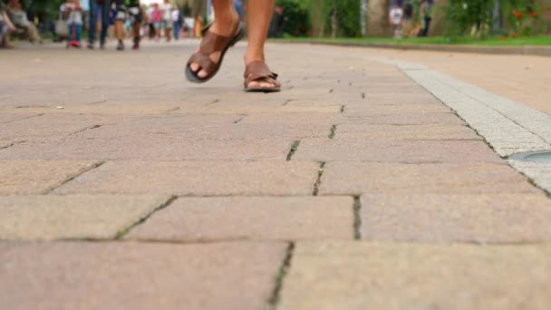 Iemand verliest zijn portefeuille die op het trottoir in de stad valt. 4k, slow-motion — Stockvideo