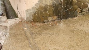Fırtına kanalizasyon yağmur sırasında. Çevre sorunları. 4k, ağır çekim
