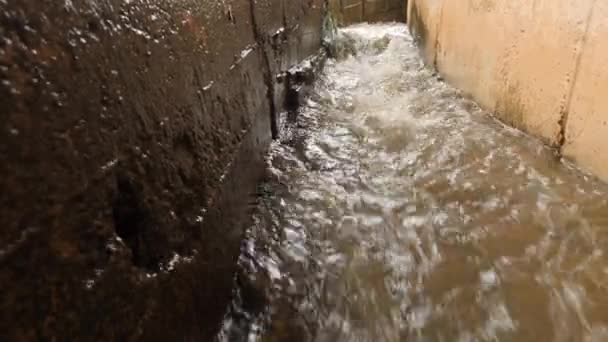 Storm kanalizace během deště. Problémy životního prostředí. 4k, pomalý pohyb — Stock video