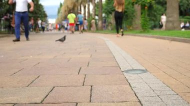 biri şehrin kaldırım düşüyor onun cüzdan kaybeder. 4k, ağır çekim