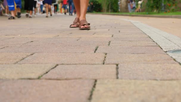 Somebody loses his wallet that falls on the pavement in the city. 4k, slow-motion — Stock Video