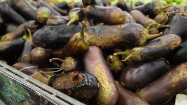 Uma mulher em um supermercado em uma prateleira de vegetais, compra legumes e frutas. Um homem escolhe beringelas de vegetais podres. Movimento lento, 4k — Vídeo de Stock