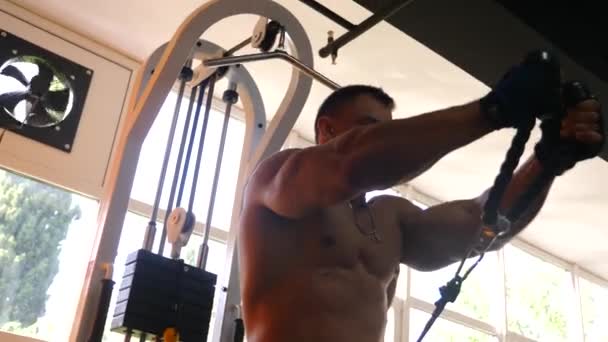 Bodybuilder αθλητής ασχολείται στο γυμναστήριο. 4 k αργή κίνηση — Αρχείο Βίντεο