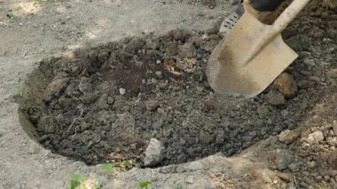 adam bir ağaç dikme. Güneş doğuyor. Siluet. Bahar. 4 k yavaş hareket