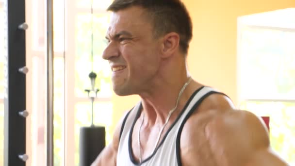 Idrottsman bodybuilder är engagerad i gymmet. 4 k slowmotion — Stockvideo