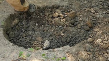 adam bir ağaç dikme. Güneş doğuyor. Siluet. Bahar. 4 k yavaş hareket