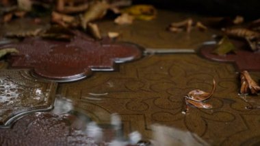 Yağmur damlaları sonbahar çamura düşmek. 4k, ağır çekim