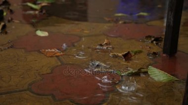 Yağmur damlaları sonbahar çamura düşmek. 4k, ağır çekim