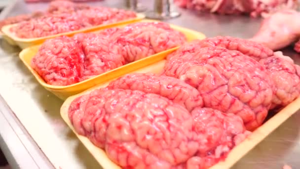 Cérebro de uma vaca na vitrine do mercado de carne, bazar. 4k , — Vídeo de Stock