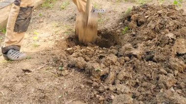 adam bir ağaç dikme. Güneş doğuyor. Siluet. Bahar. 4 k yavaş hareket