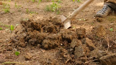 adam bir ağaç dikme. Güneş doğuyor. Siluet. Bahar. 4 k yavaş hareket