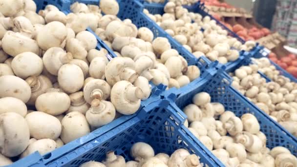 Os cogumelos na cesta no mercado. o close-up de uma mão de homem escolhe champinhons no balcão. 4k, câmera lenta . — Vídeo de Stock