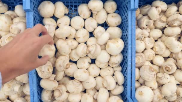 Os cogumelos na cesta no mercado. o close-up de uma mão de homem escolhe champinhons no balcão. 4k, câmera lenta . — Vídeo de Stock