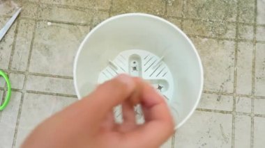 pota drenaj ve avokado evde dikim için toprak ile doldurma. 4k, ağır çekim