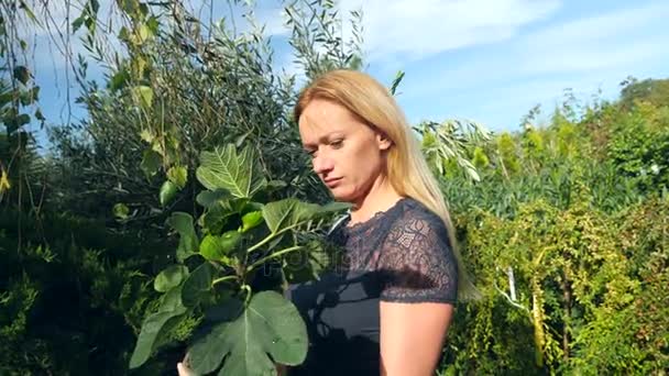 Mooie planten en bloemen in een kas. vrouw landschap ontwerper selecteert planten in de tuin winkel. 4k, slow-motion — Stockvideo