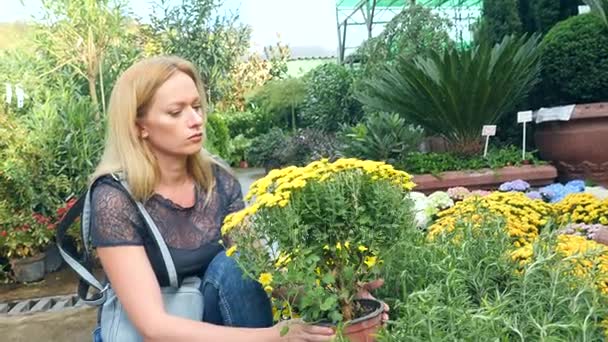 Красивые растения и цветы в теплице. женщина-ландшафтный дизайнер выбирает растения в садовом магазине. 4k, slow motion — стоковое видео