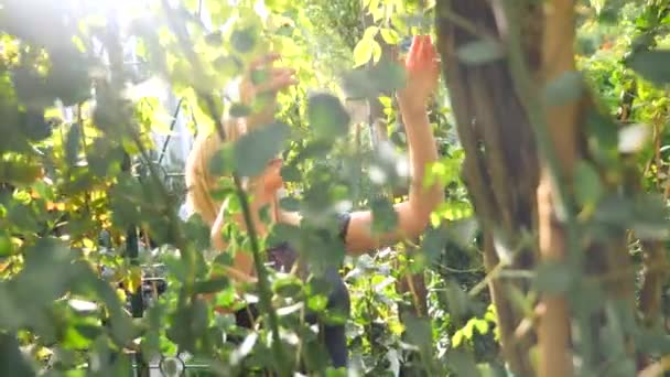 植物の温室の花は美しい。女性ランドス ケープ デザイナーは、園芸店で植物を選択します。4 k、スローモーション — ストック動画