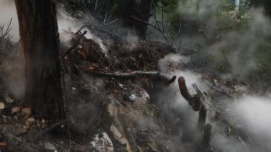 Orman yangınları felaket sonuçları. Yangın söndürme ormanda, su, su sıçramalarına ve duman, 4k, ağır çekim çekim akışı. yakın çekim