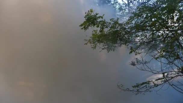 Consequências catastróficas dos incêndios florestais. extinção de incêndios na floresta, uma corrente de água, salpicos e fumaça, 4K, tiro em câmera lenta. close-up — Vídeo de Stock