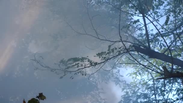 Catastrofale gevolgen van bosbranden. blussen van de brand in het bos, een stroom van water, spatten en rook, 4k, slow-motion-video schieten. Close-up — Stockvideo