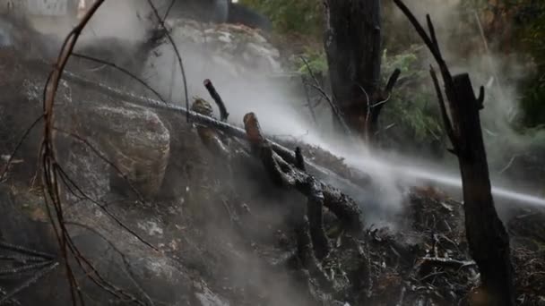 Катастрофические последствия лесных пожаров. тушение пожара в лесу, поток воды, брызги и дым, 4к, замедленная съемка. макро — стоковое видео