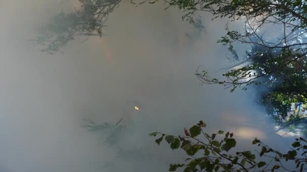 Consecuencias catastróficas de los incendios forestales. extinción de incendios en el bosque, un chorro de agua, salpicaduras y humo, 4k, disparos en cámara lenta. primer plano — Vídeo de stock